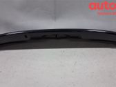 Tailgate/trunk spoiler