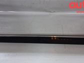 Front door trim (molding)