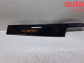 Front door trim (molding)
