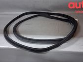Moldura de la puerta trasera