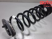 Rear coil spring