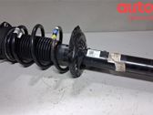 Front shock absorber with coil spring