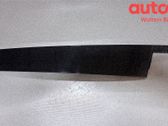 Moulure de porte avant