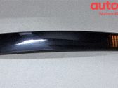 Listón embellecedor de la puerta delantera (moldura)