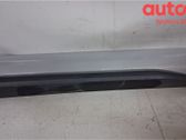 Front door trim (molding)