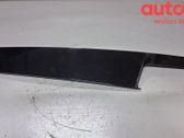 Moulure de porte avant