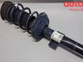 Front shock absorber with coil spring