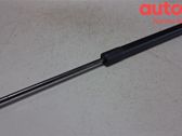 Tailgate strut