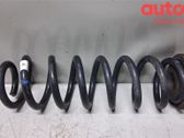 Muelle espiral trasero