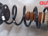 Muelle espiral trasero