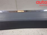 Rear door trim (molding)