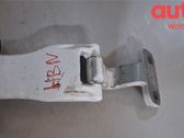 Rear door lower hinge