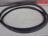 Moldura de la puerta trasera