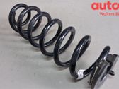 Rear coil spring
