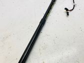 Tailgate/trunk strut/damper