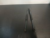Tailgate/trunk strut/damper