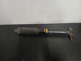 Rear shock absorber/damper