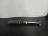 Rear shock absorber/damper
