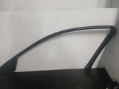 Front door glass trim molding