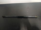 Tailgate/trunk strut/damper