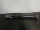 Rear shock absorber/damper