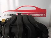 Colector de admisión
