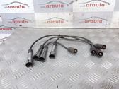 Ignition plug leads