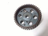 Fuel pump gear (pulley)