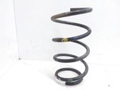 Rear coil spring