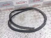 Front door rubber seal