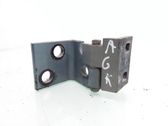 Rear door lower hinge
