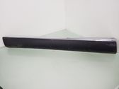 Front door trim (molding)