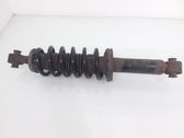 Rear shock absorber with coil spring