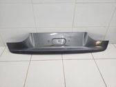 Moldura de la puerta trasera