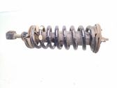 Front shock absorber with coil spring
