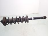 Rear shock absorber with coil spring