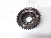 Fuel pump gear (pulley)