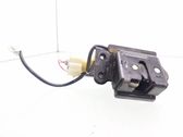 Tailgate/trunk/boot lock/catch/latch