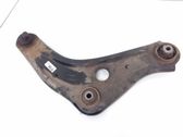 Front lower control arm/wishbone