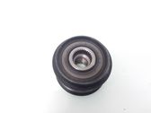 Alternator pulley