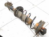 Rear shock absorber with coil spring