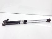 Tailgate/trunk strut/damper