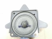 Panel speaker