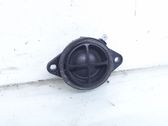 Front door high frequency speaker
