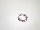 Timing chain sprocket