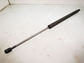 Tailgate/trunk strut/damper