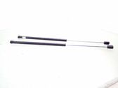 Tailgate/trunk strut/damper