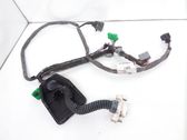 Front door wiring loom