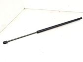 Tailgate/trunk strut/damper