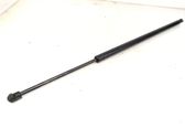Tailgate/trunk strut/damper